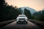 Toyota RAV4 Hybrid Style 2019 года (WW)